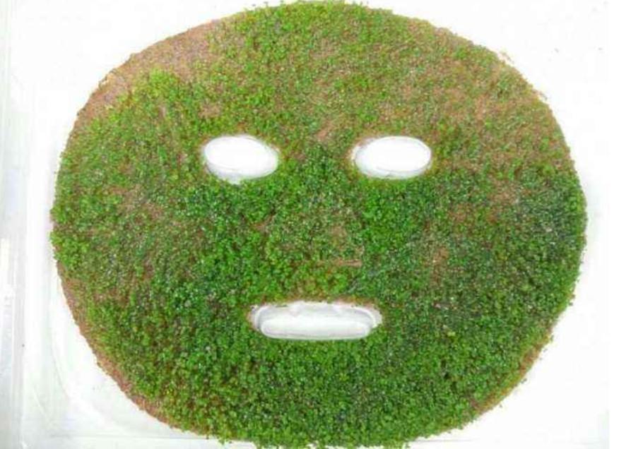 海藻面膜可以天天敷嗎？——深度解析海藻面膜的使用頻率與注意事項(xiàng)，海藻面膜的使用頻率與注意事項(xiàng)解析，能否天天敷海藻面膜？