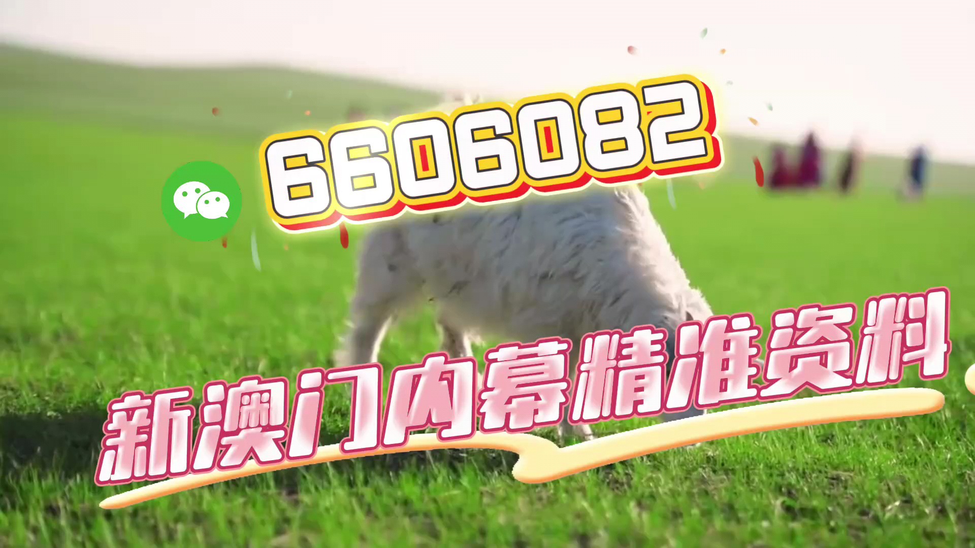 澳門今晚必開一肖一特，揭秘生肖彩票的魅力與預(yù)測技巧，澳門生肖彩票預(yù)測揭秘，一肖一特魅力與預(yù)測技巧探討
