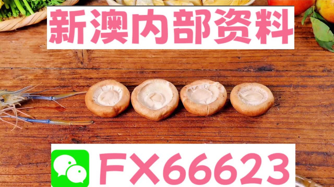 新澳全年免費資料大全——探索與學習資源的寶庫，新澳全年免費資料大全，探索與學習資源的終極寶庫