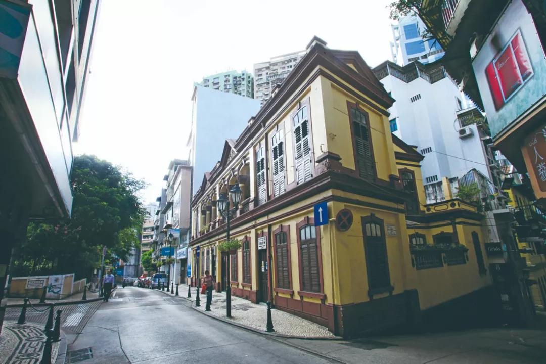 澳門必開一生一肖碼，揭秘背后的秘密與真相，澳門必開一生一肖碼揭秘內(nèi)幕與真相