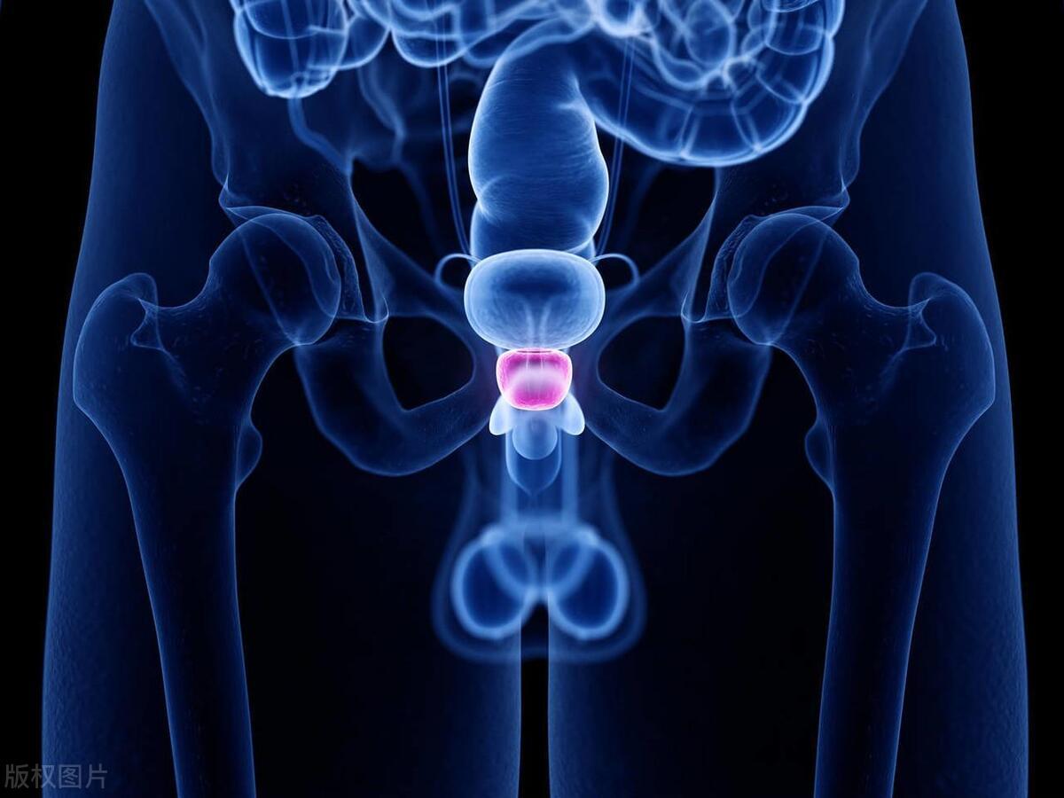 肛裂的癥狀及其影響，了解、預(yù)防與治療，肛裂的癥狀、影響、預(yù)防與治療全面解析