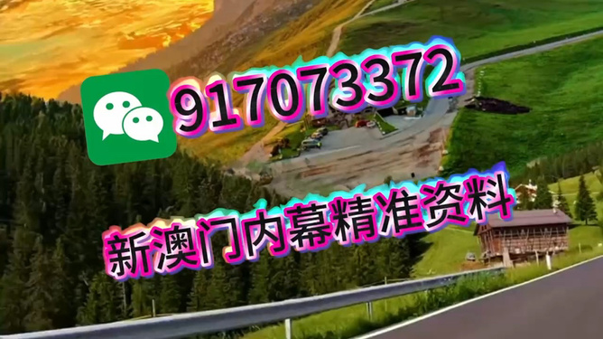 王中王一肖一中特，深度解析與SEO優(yōu)化策略，王中王一肖一中特深度解析與SEO優(yōu)化策略探討