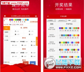 王中王三肖必出一肖，深度解析與探索，王中王三肖必出一肖，深度解析與探索揭秘