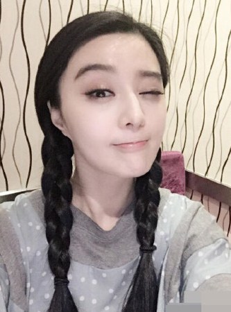 范冰冰個人資料簡介及影響力探討，范冰冰個人資料簡介與影響力深度探討