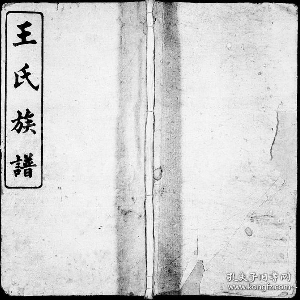 小魚(yú)兒一肖王中王興典，探索背后的故事與奧秘，小魚(yú)兒一肖王中王興典，背后的故事與奧秘揭秘