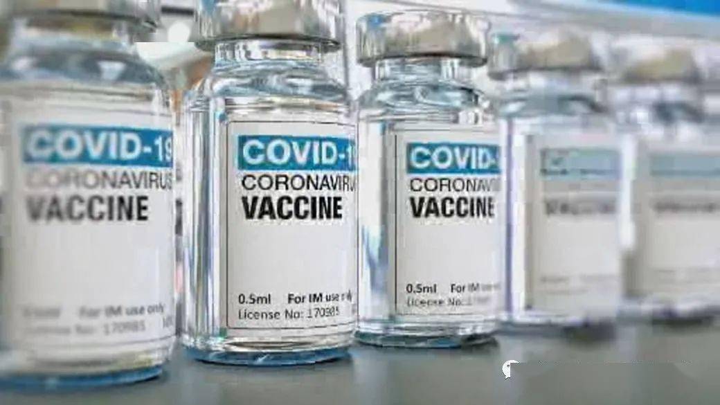 王中王解一肖特，揭秘生肖魅力與獨特之處，揭秘生肖魅力與獨特之處，王中王解讀一肖特