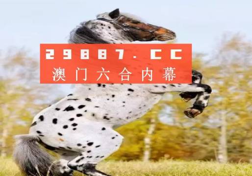 揭秘白小姐王中王四不像圖一，探尋肖中特的神秘面紗，揭秘白小姐王中王四不像圖與肖中特神秘面紗的背后真相