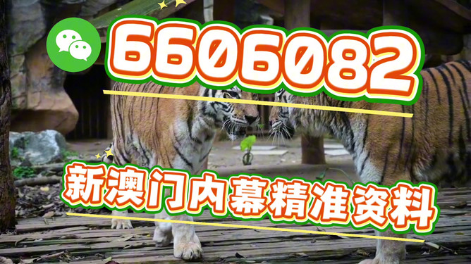 澳門今晚必開(kāi)一肖一特，探索生肖彩票的魅力與預(yù)測(cè)，澳門生肖彩票探索，魅力揭秘與今晚預(yù)測(cè)一肖一特