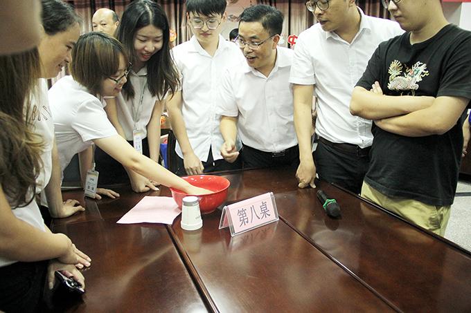 揭秘2019最準王中王一肖的神秘面紗，揭秘，2019最準王中王一肖的神秘面紗與傳奇故事