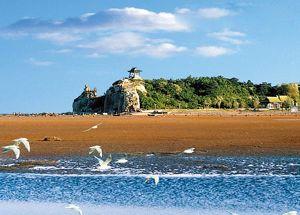 財經(jīng) 第252頁