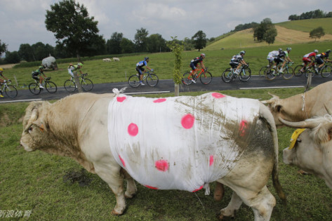 王中王四不像平特一肖圖——揭秘背后的神秘世界，揭秘王中王四不像平特一肖圖的神秘世界