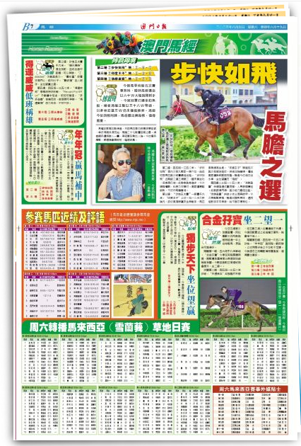 SEO優(yōu)化策略 第8頁