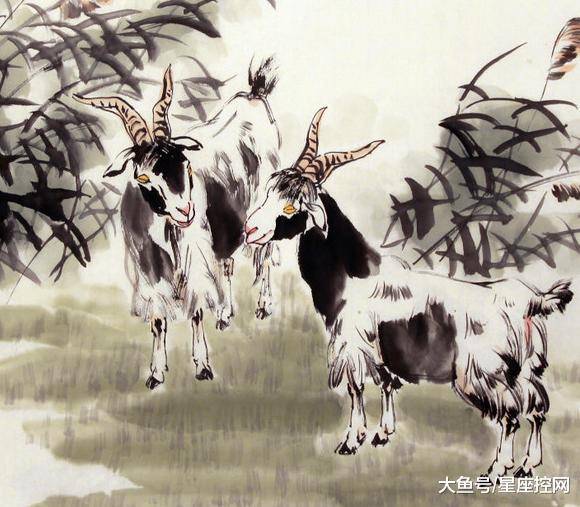 澳門最快開獎六開生肖，揭秘彩票背后的秘密，澳門六開生肖彩票背后的秘密揭曉