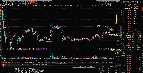 股票投資新寵，揭秘股票002178的潛力與價值，股票投資新星，揭秘股票002178的潛力與價值展望