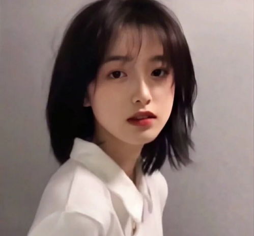 揭秘55049王中王準一肖的神秘面紗，揭秘，55049王中王準一肖的神秘面紗揭曉