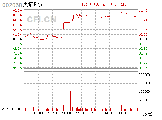 深入了解，關(guān)于股票代碼中的秘密——002068，揭秘股票代碼中的秘密，002068深度解析