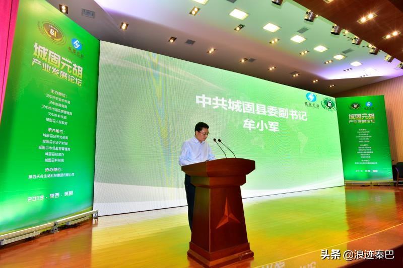 元胡的功效與作用，揭示傳統(tǒng)草藥的神奇療效，元胡的神奇療效，功效與作用探究