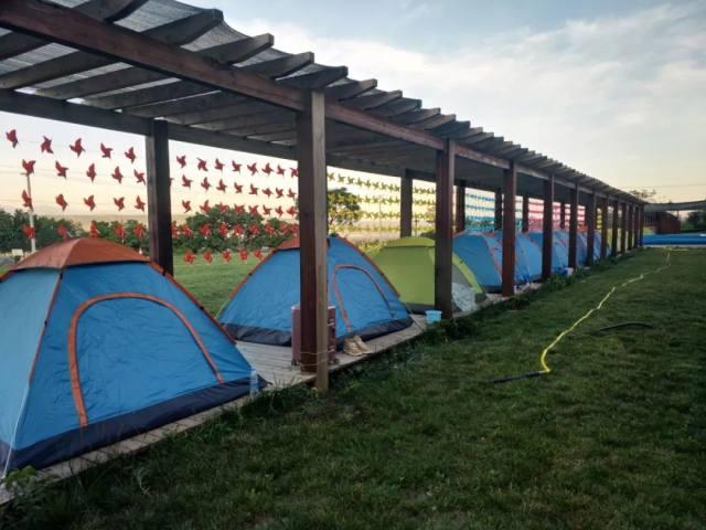 西安親子游最佳方案，西安親子游最佳攻略