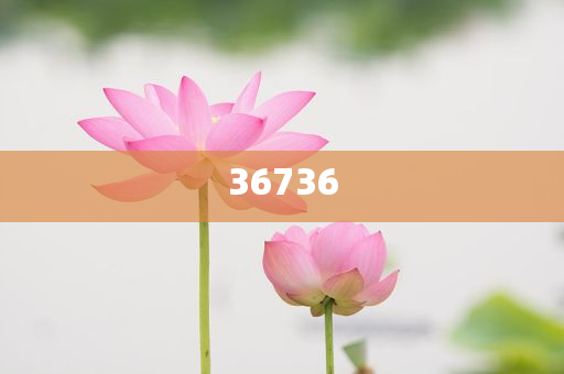 揭秘7777788888精準(zhǔn)新傳真，真相大揭秘，揭秘精準(zhǔn)新傳真背后的真相，77777與88888的神秘面紗被揭開