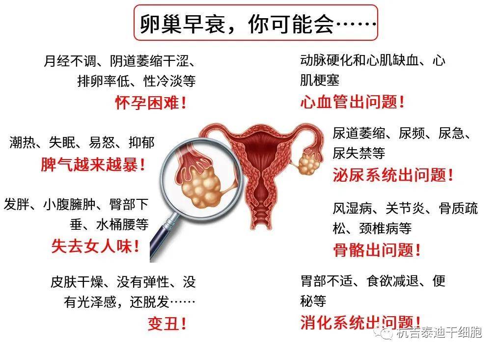 四十歲卵巢早衰能否調(diào)整回來？解讀卵巢早衰與應(yīng)對(duì)策略，四十歲卵巢早衰能否調(diào)整回來？解讀卵巢早衰現(xiàn)象及應(yīng)對(duì)策略