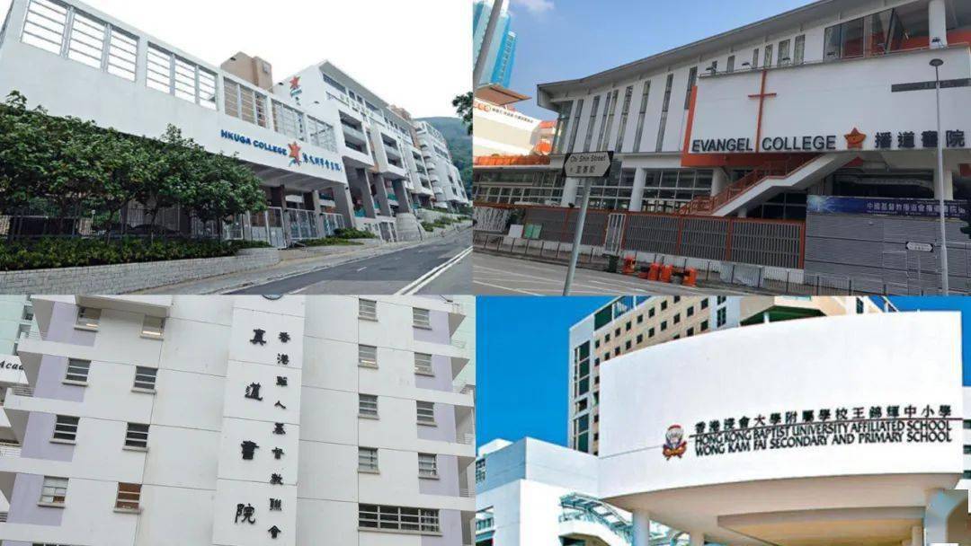 香港免費公開資料大全