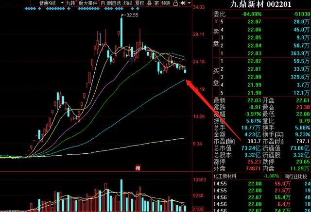 股票002201，深度解析與前景展望，股票002201深度解析與未來(lái)前景展望