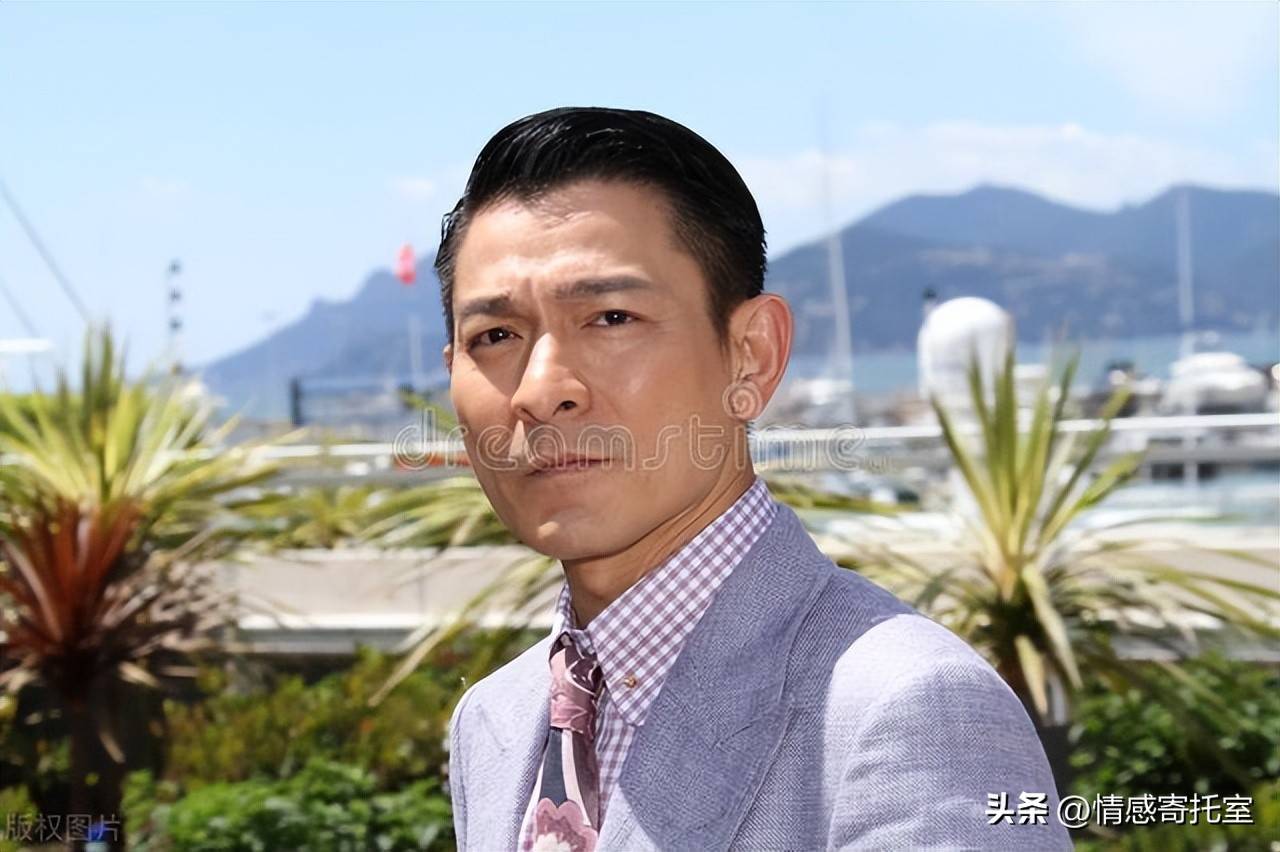 香港一碼一肖王中王，揭秘背后的秘密與真相，揭秘香港一碼一肖王中王的秘密與真相