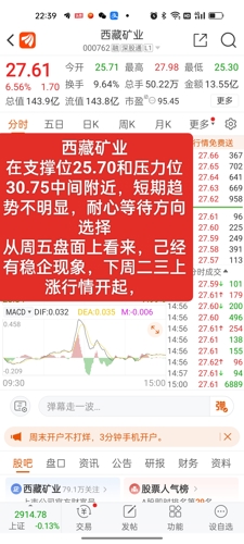 西藏礦業(yè)股票股吧，投資潛力與前景展望，西藏礦業(yè)股票投資潛力與前景展望，股吧熱議的焦點