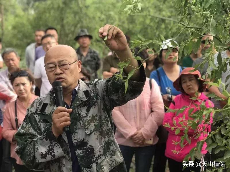 長期吃紅棗的潛在害處，了解并平衡飲食健康，長期食用紅棗的潛在風(fēng)險與飲食平衡的重要性