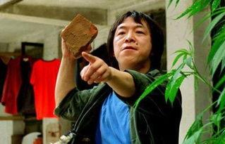 王中王丑中王解一肖，探尋背后的故事與奧秘，探尋王中王丑中王解一肖背后的故事與奧秘