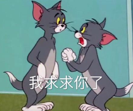 湯姆貓股票股吧，投資熱點(diǎn)與前景展望，湯姆貓股票股吧，投資熱點(diǎn)與未來前景展望