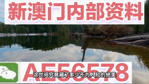 澳門精準(zhǔn)四不像