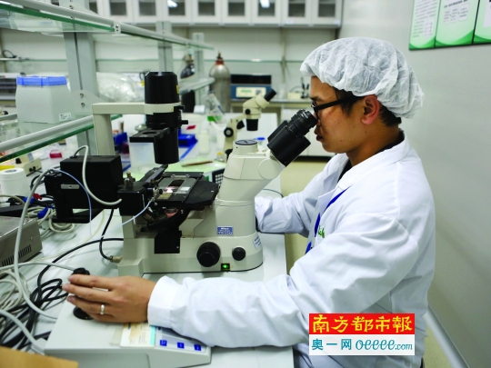 關(guān)于結(jié)扎的SEO文章，結(jié)扎手術(shù)詳解，知識、優(yōu)勢與注意事項