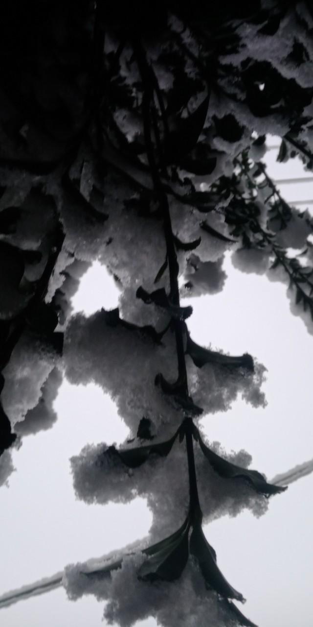 三句話讓你瞬間擺脫煩惱，重拾心情的平衡藝術(shù)，三句話重塑心態(tài)，擺脫煩惱，找回平衡的藝術(shù)