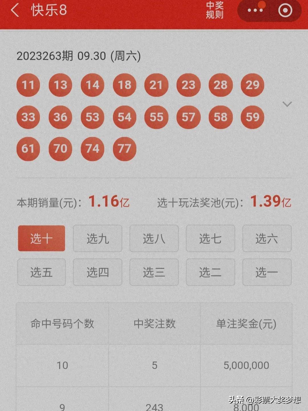 揭秘王中王四肖必中一肖中特，深度解析與SEO優(yōu)化策略，揭秘王中王四肖必中一肖中特，深度解析與SEO策略全攻略