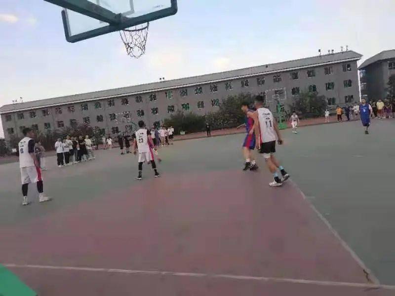 澳門二四六天下彩天天免費(fèi)大全——全面解析澳門彩票文化，澳門彩票文化全面解析，二四六天下彩免費(fèi)大全