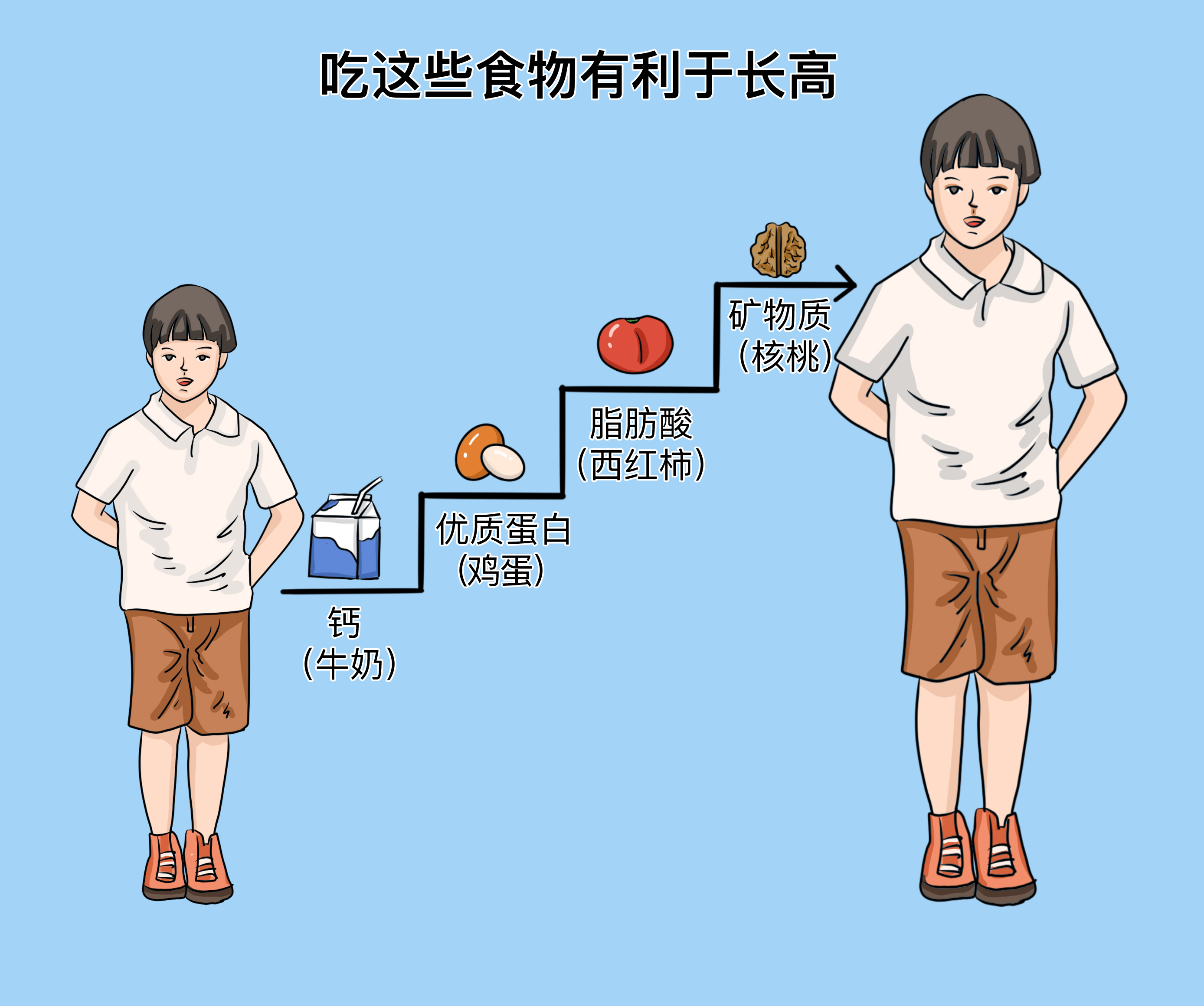 什么食物吃猛長高——助力生長發(fā)育的食物指南，助力生長發(fā)育，猛長高的食物指南