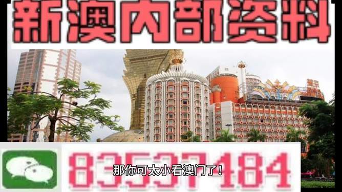 新澳新澳門正版資料，探索與解析，新澳新澳門正版資料深度解析與探索