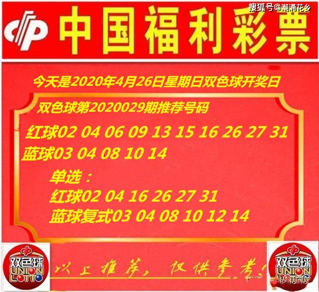 王中王029期指一生肖，揭秘生肖魅力與預(yù)測(cè)背后的秘密，揭秘生肖魅力與預(yù)測(cè)背后的秘密，王中王生肖預(yù)測(cè)第029期揭曉