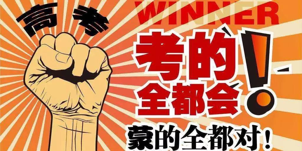 揭秘王中王與肖的不同之處，深度解析第123期，揭秘王中王與肖差異深度解析第123期，獨(dú)家對(duì)比與解讀