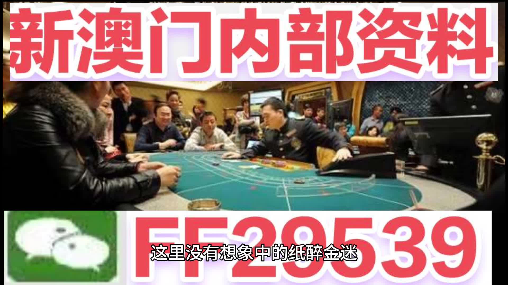 澳門特馬今晚開獎(jiǎng)香港——探索彩票背后的故事與未來展望，澳門特馬與香港彩票，背后的故事及未來展望