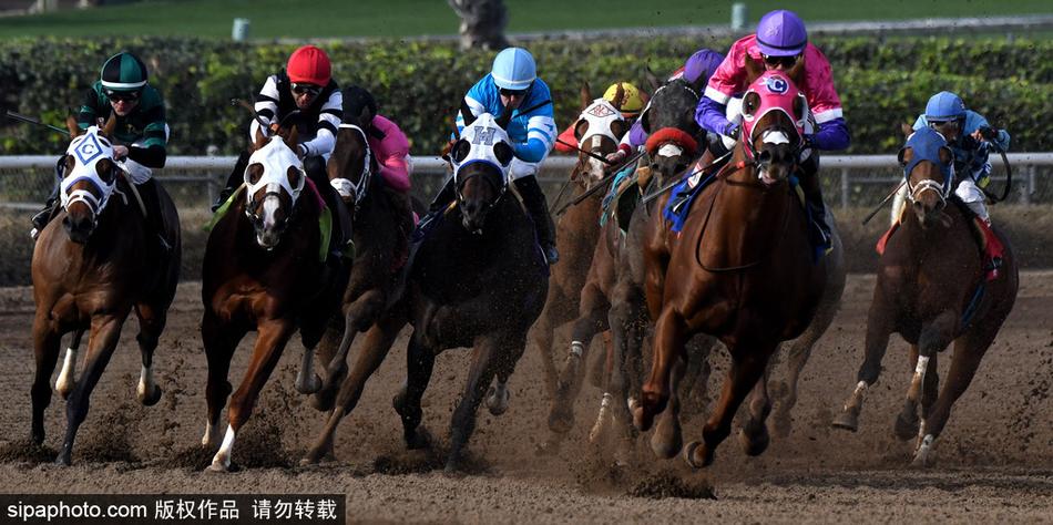 王中王馬開獎一肖中，揭秘彩票背后的秘密與策略，揭秘彩票背后的秘密與策略，王中王馬開獎一肖中的真相探討
