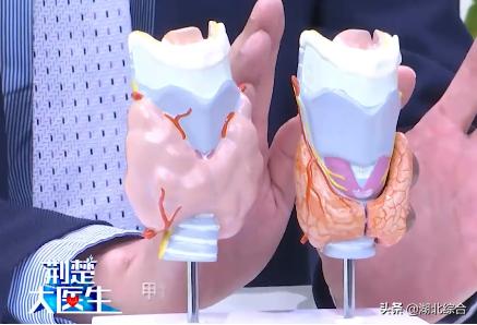 甲減的癥狀，深入了解甲狀腺功能減低的常見表現(xiàn)，深入了解甲狀腺功能減退的癥狀表現(xiàn)，甲減的征兆與常見表現(xiàn)