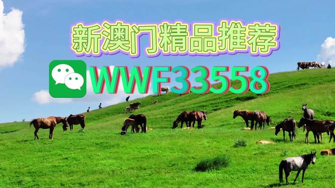 揭秘精準(zhǔn)預(yù)測(cè)一肖的秘密，解碼77777與88888的神秘?cái)?shù)字組合，揭秘精準(zhǔn)預(yù)測(cè)生肖的秘密，數(shù)字組合77777與88888的神秘解碼