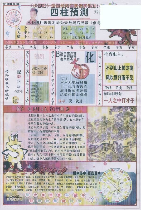 香港王中王找圖看生一肖，揭秘背后的奧秘，揭秘香港王中王找圖看生肖的奧秘