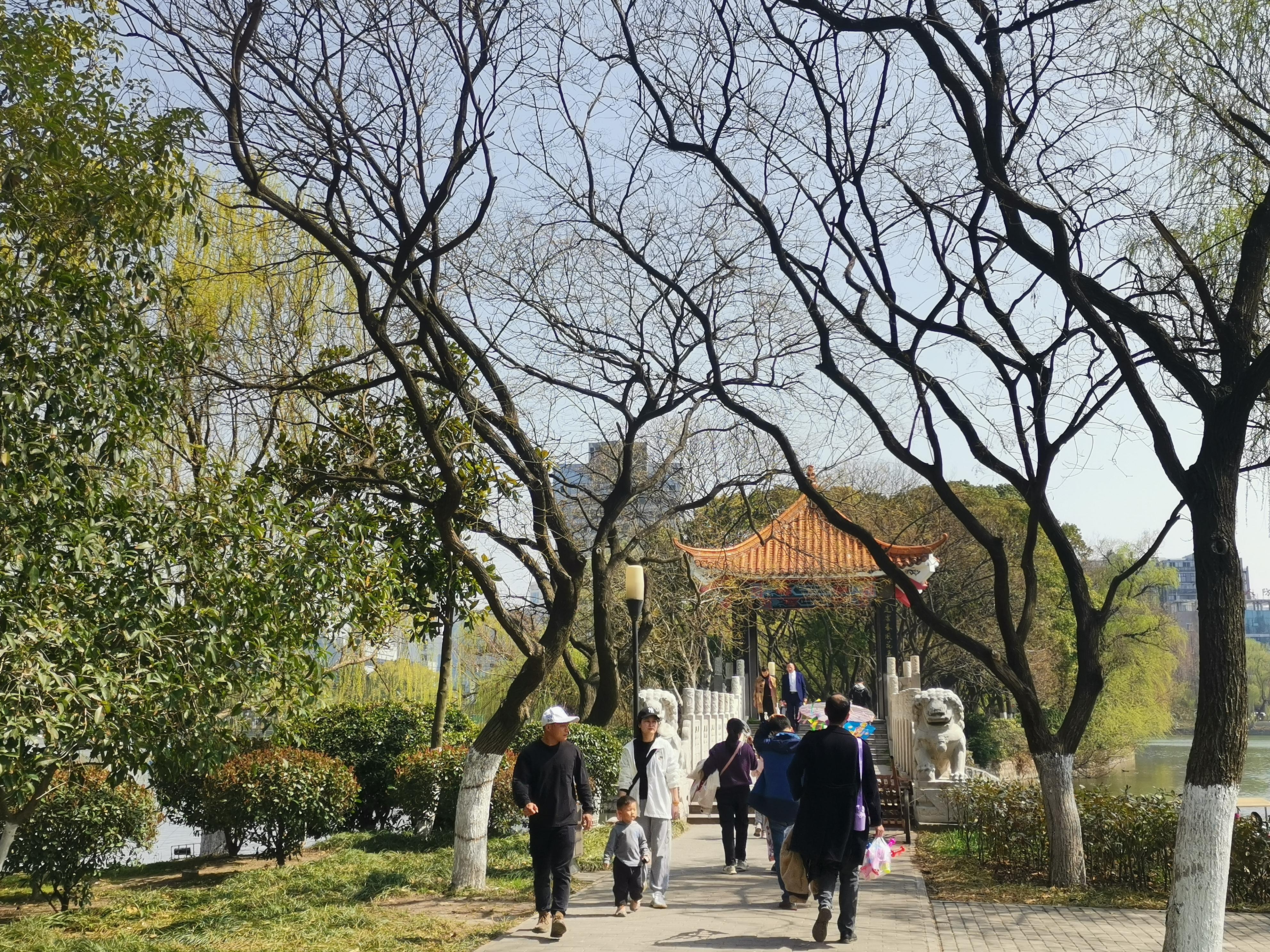 澳門75期最快天天開獎(jiǎng)，揭秘彩票背后的秘密與策略，澳門75期天天開獎(jiǎng)揭秘，彩票背后的秘密與策略探究