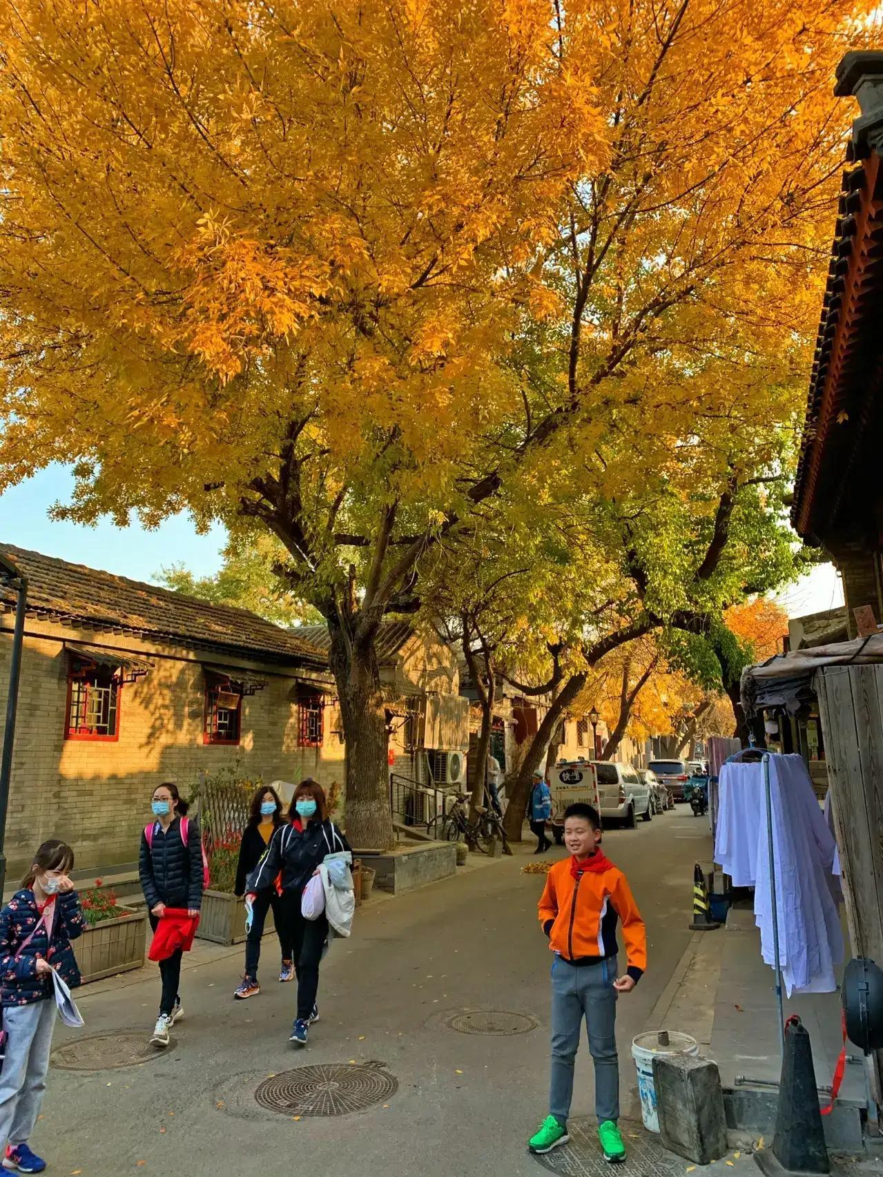 冬天北京一日游最佳景點(diǎn)攻略，北京冬季一日游最佳景點(diǎn)攻略