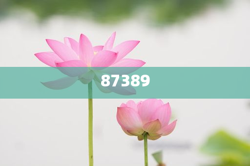 一肖是否包括特肖？深度解析生肖文化中的奧秘，深度解析生肖文化，一肖是否包含特肖？