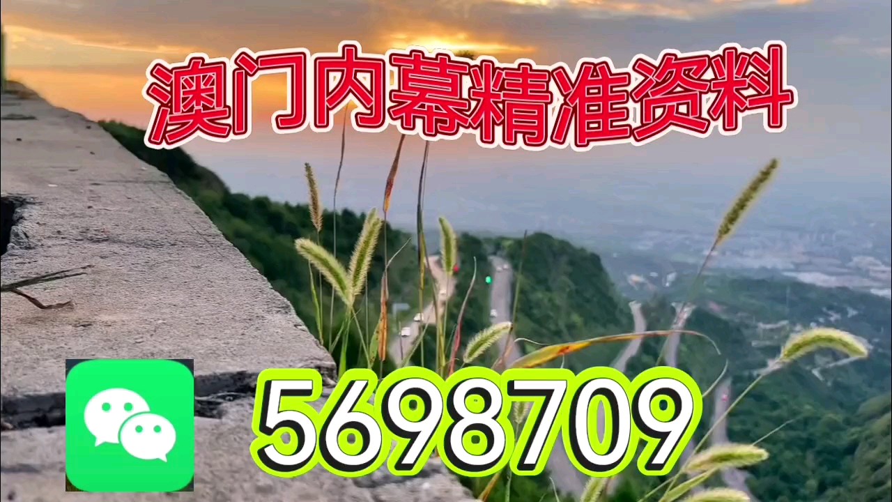 新澳天天彩開獎(jiǎng)資料大全正版，探索彩票世界的秘密，探索彩票世界的秘密，新澳天天彩正版開獎(jiǎng)資料大全