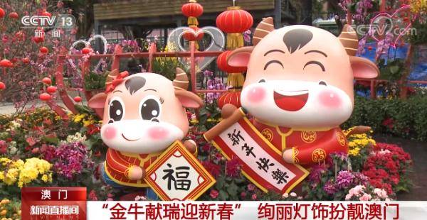 澳門金牛網(wǎng)金牛版論壇——探索與解析，澳門金牛網(wǎng)金牛版論壇，深度探索與解析